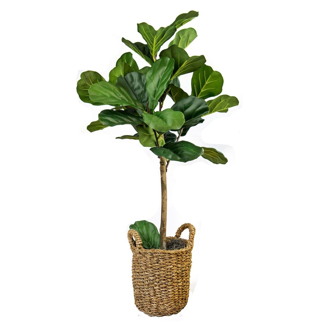 LCG Sales 30" Green and Brown Fiddle Leaf Fig Artificial Tree in Basket